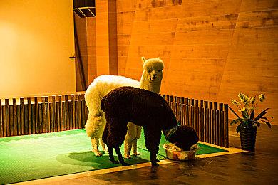 《The Green Book》Steam页面上线 园艺店经营模拟